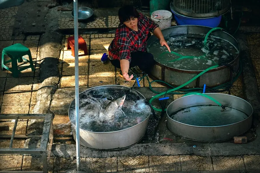 Fish market in Hanoi
