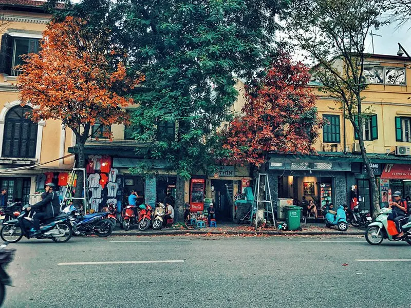 Autumn in Hanoi