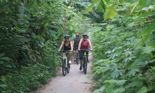 Hanoi city biking Tour