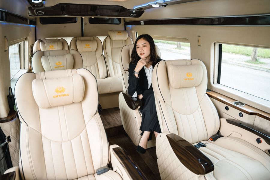9 seat limousine van transfer 