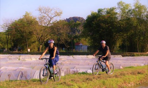 Hoa Lu – Trang An – Mua Cave – Ninh Binh day tour from Hanoi [Small group]