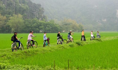 Hoa Lu – Tam Coc (boat tour & cycling) full day tour (Small group)