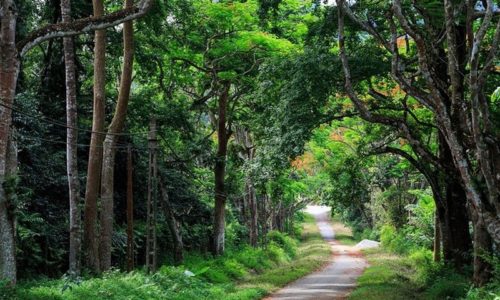 2 day 1 night Ninh Binh tour with transfer from Hanoi