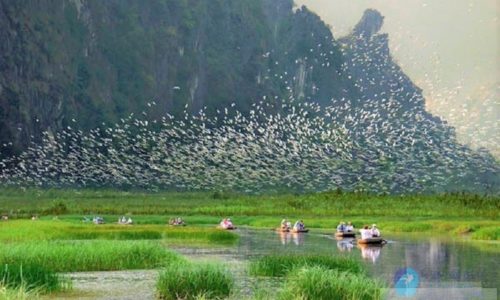 2 day 1 night Ninh Binh tour with transfer from Hanoi