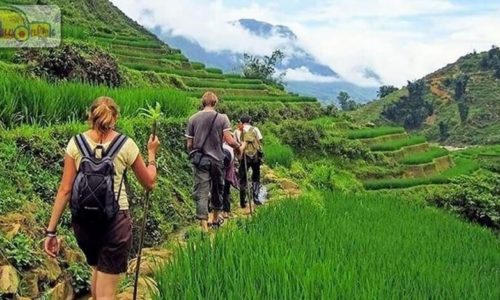Sapa tour 2 days 1 night: SAPA – CAT CAT – LAO CHAI – TA VAN