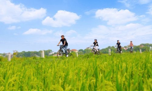 Ninh binh day trip from Hanoi [Tam Coc – Local Farmer’s House – Cycling –  Hoa Lu]