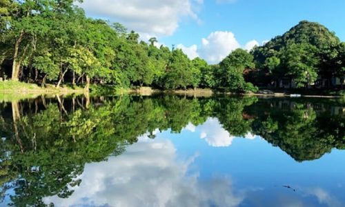 Ninh Binh 3 days 2 nights tour [Full Activities and Experiences ]