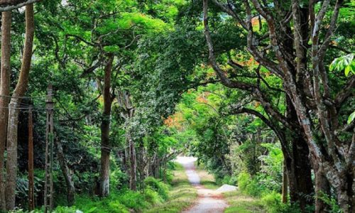 Ninh Binh 3 days 2 nights tour [Full Activities and Experiences ]