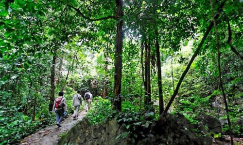 Ninh Binh 3 days 2 nights tour [Full Activities and Experiences ]
