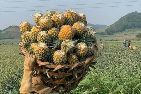 Ninh Binh 3 days 2 nights tour [Full Activities and Experiences ]