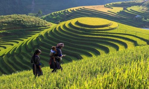3 day Sapa tour from Hanoi: CATCAT – LAOCHAI – TAVAN – BAC HA