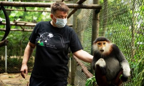 Ninh Binh 3 days 2 nights tour [Full Activities and Experiences ]