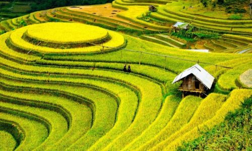HA GIANG JEEP TOUR 2 DAYS