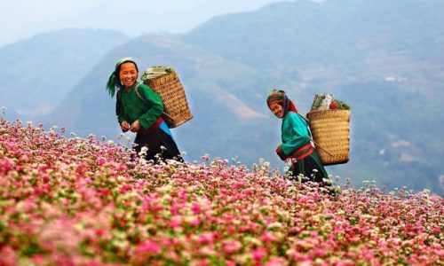 HA GIANG JEEP TOUR 2 DAYS