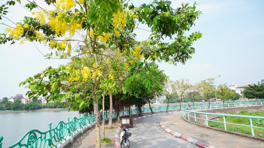West lake Hanoi