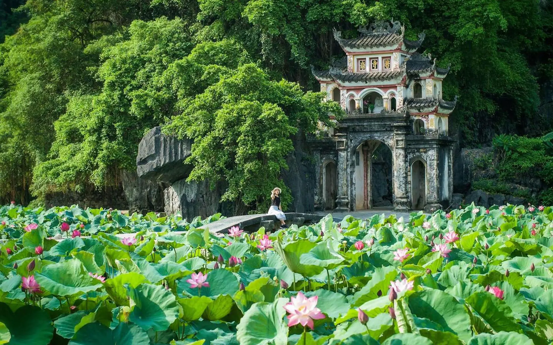 Mua Cave - The Essence of Ninh Binh's Beauty 22 Bich Dong pagoda