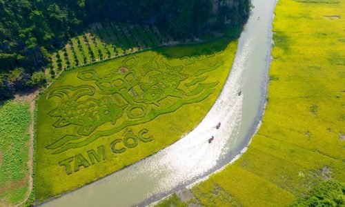 Tam Coc Ninh Binh: Photos and Travel guides