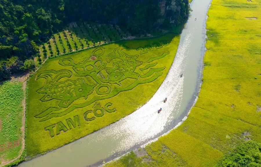 Hoa Lu Ninh Binh – Photos and Travel guides 22 Tam Coc Ninh Binh