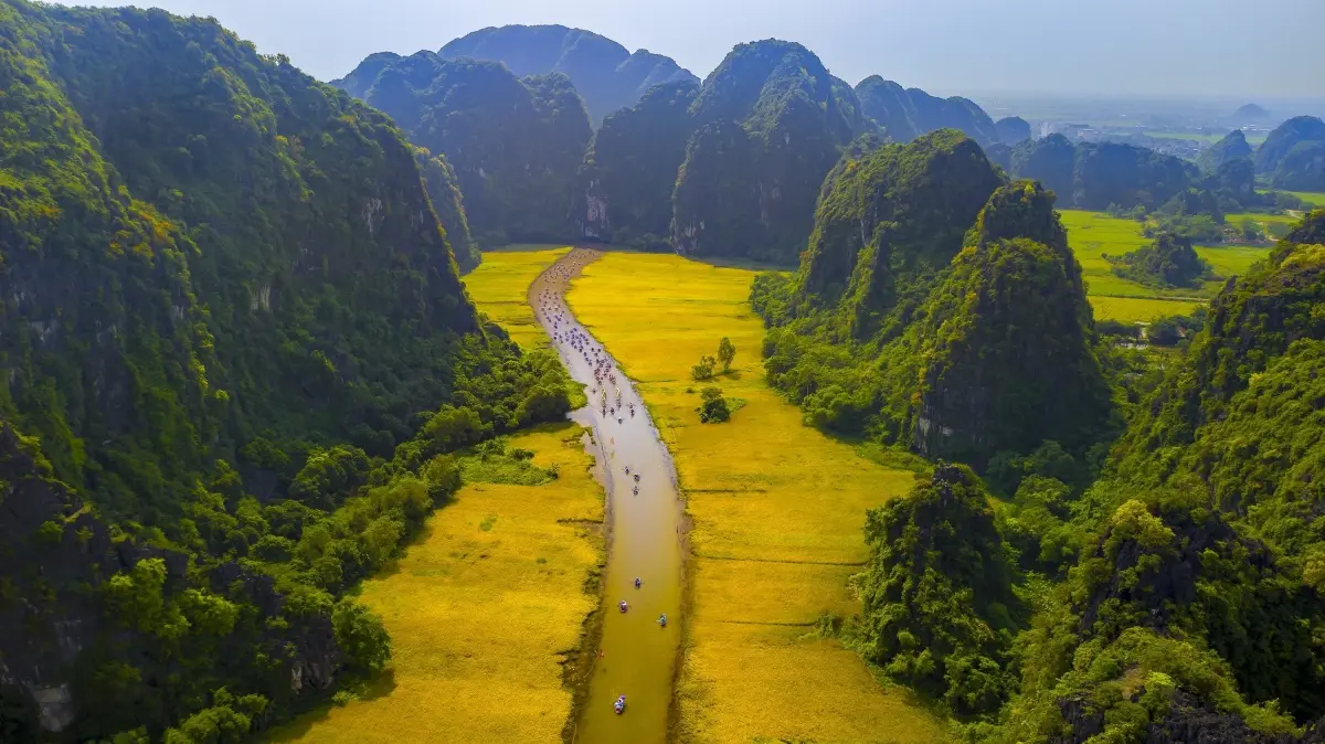 Mua Cave - The Essence of Ninh Binh's Beauty 20 Tam Coc -From May to late June