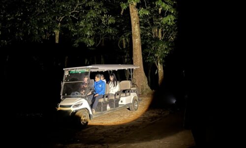 Cuc Phuong Wildlife Tour – 2 Days 1 Night