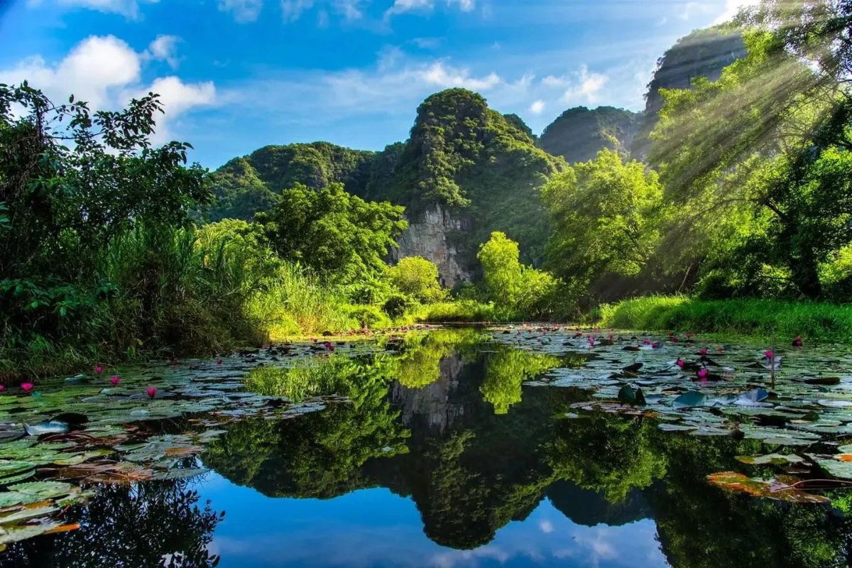 TOP 10+ Must-Visit Tourist Attractions in Ninh Binh 24 Thung Nang