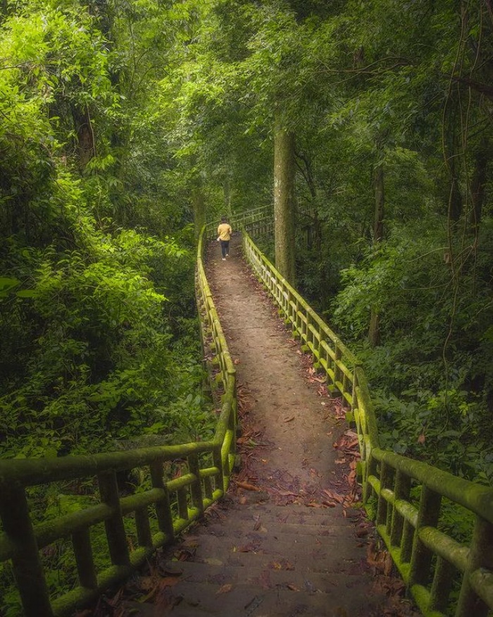 Exploring Cuc Phuong National Park: An Ecological Paradise in Vietnam 13 Cuc Phuong National Park