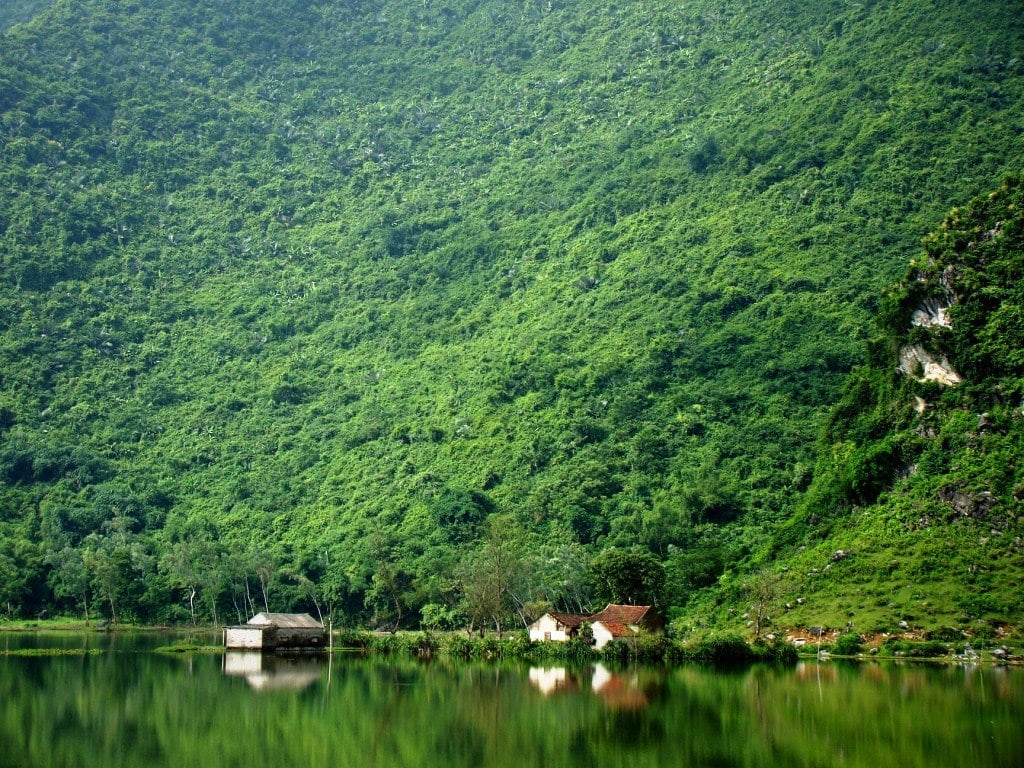 TOP 10+ Must-Visit Tourist Attractions in Ninh Binh 27 Yan Quang lake