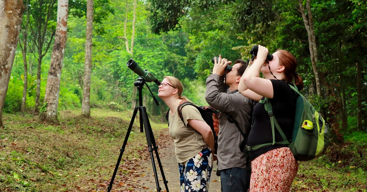 Exploring Cuc Phuong National Park: An Ecological Paradise in Vietnam 17 Bird Watching