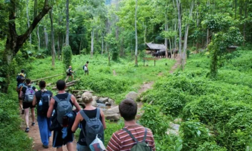 Exploring Cuc Phuong National Park: An Ecological Paradise in Vietnam