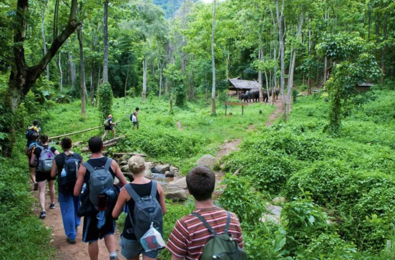 Exploring Cuc Phuong National Park: An Ecological Paradise in Vietnam 15 Hiking in the Pristine Forest