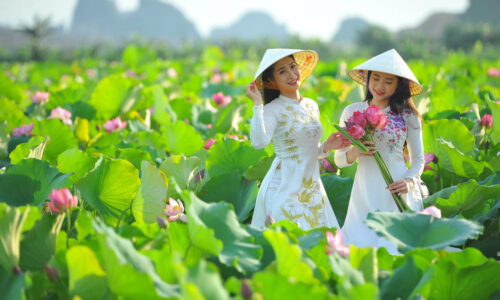 Lotus Season in Ninh Binh: Exploring the Paradise of Flowers