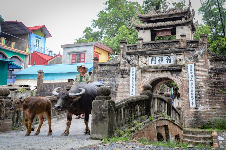 Discovering Traditional Cultural Villages Near Hanoi 17 Uoc Le Village