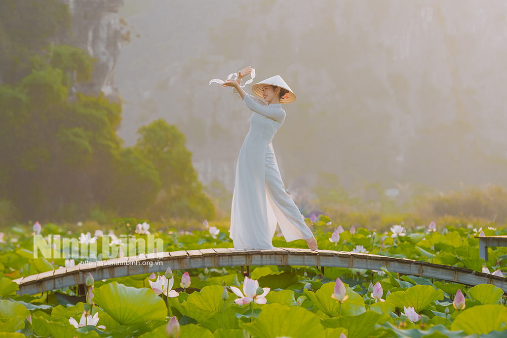 Lotus Season in Ninh Binh: Exploring the Paradise of Flowers 12 Tips when you visit Lotus Flowers in Ninh Binh