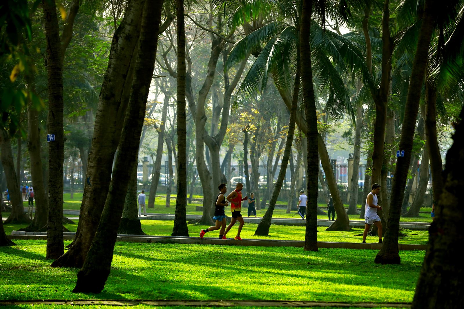 Discover the Best Parks in Hanoi: Beauty and Space Combined 17 Thong Nhat Park
