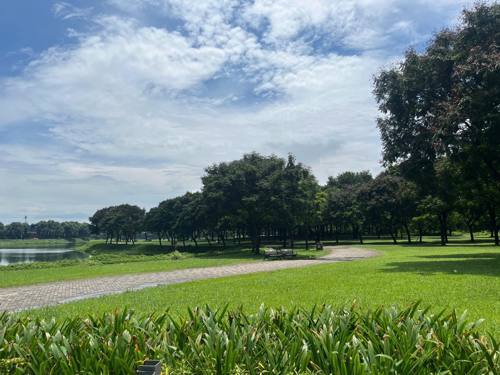 Discover the Best Parks in Hanoi: Beauty and Space Combined 12 Discover the Best Parks in Hanoi: Beauty and Space Combined