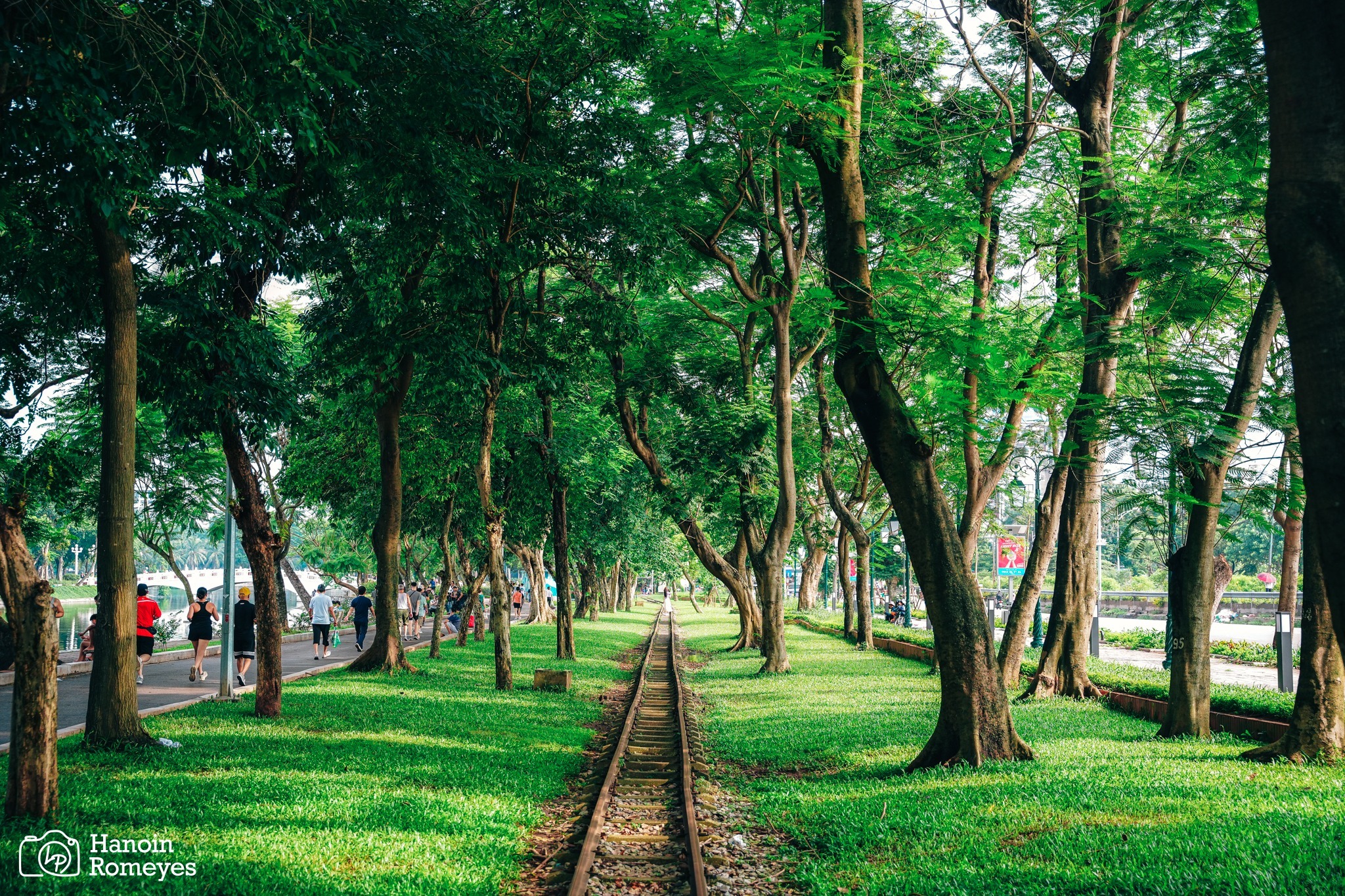 Discover the Best Parks in Hanoi: Beauty and Space Combined 18 Thong Nhat Park