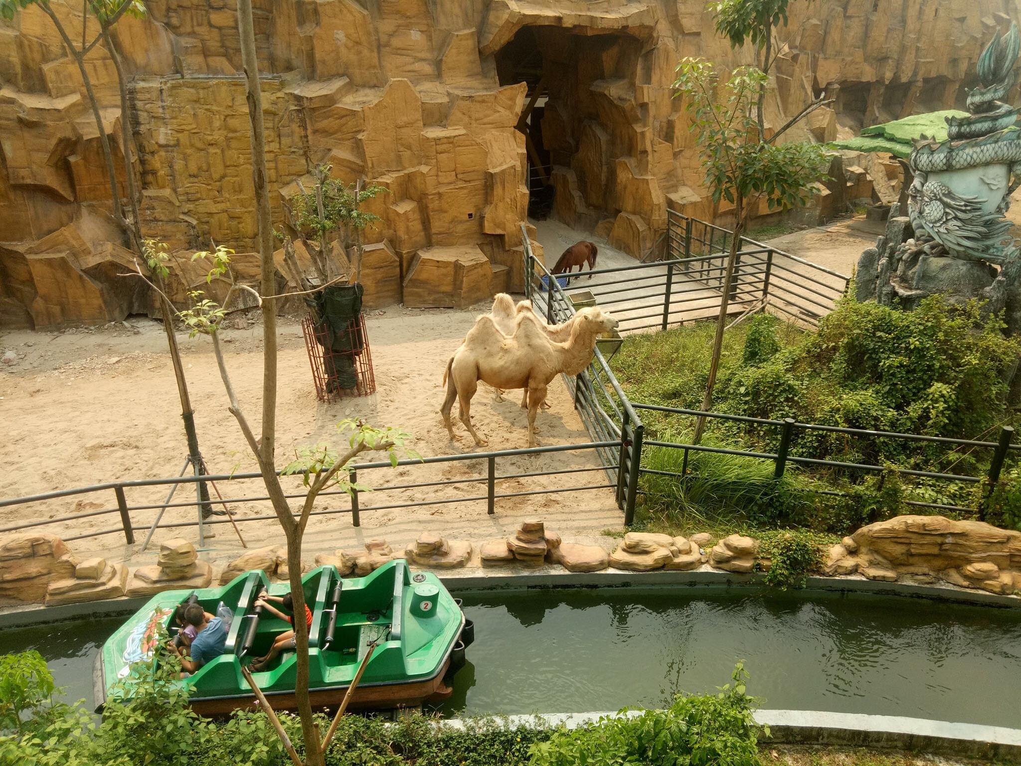 Discover the Best Parks in Hanoi: Beauty and Space Combined 22 Thien Duong Bao Son Park