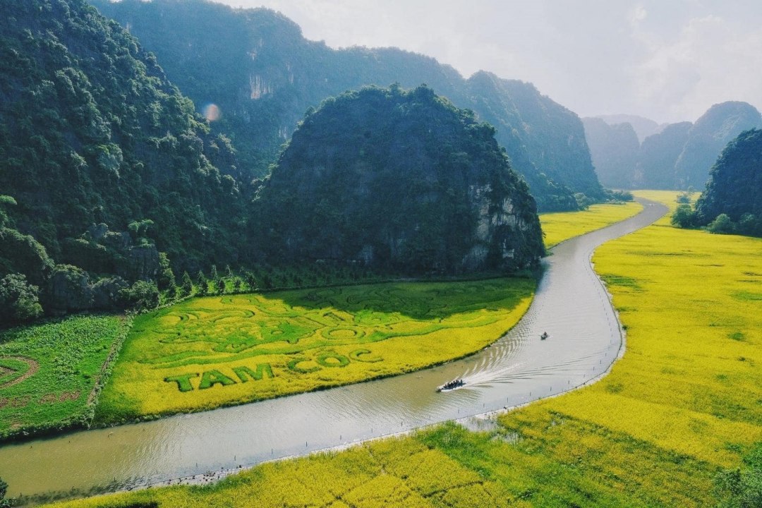 Top 9 Must-Visit Rice Harvest Destinations in Northern Vietnam 2025 24 The rice harvest season in Tam Coc - Ninh Binh