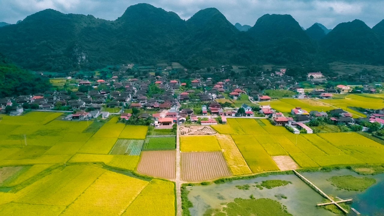 Top 9 Must-Visit Rice Harvest Destinations in Northern Vietnam 2025 35 Bắc Sơn is an ideal location for those who want to capture the clouds and admire the ripe rice fields