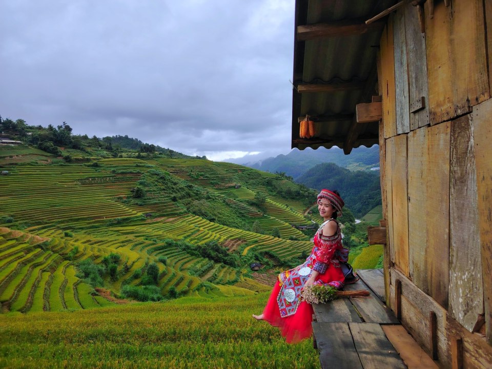Top 9 Must-Visit Rice Harvest Destinations in Northern Vietnam 2025 27 Mù Cang Chải is a must-visit destination during the rice harvest season.