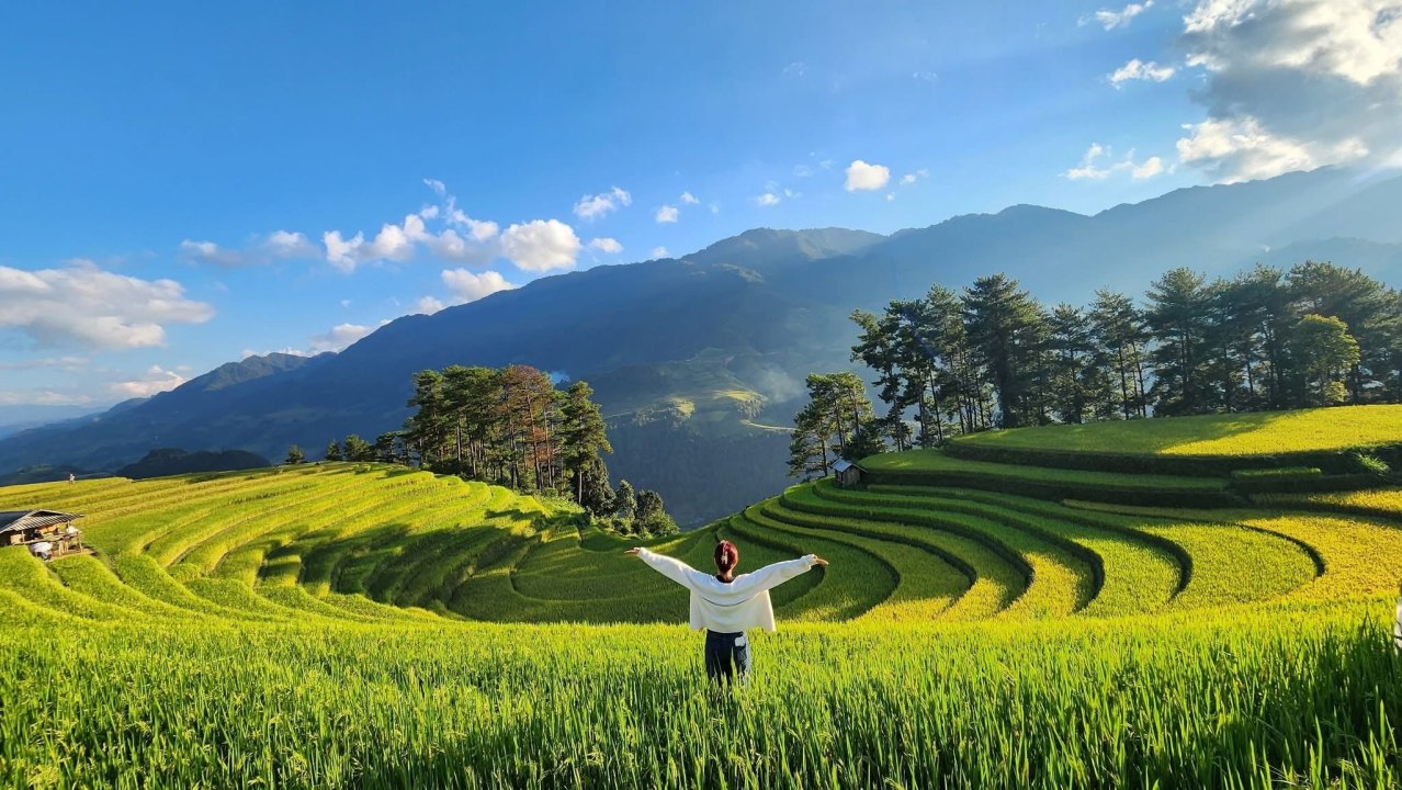 Top 9 Must-Visit Rice Harvest Destinations in Northern Vietnam 2025 40 Travel Tips for the Rice Harvest Season in Northern Vietnam 2025