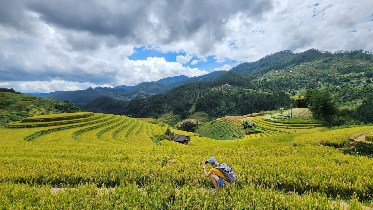 Top 9 Must-Visit Rice Harvest Destinations in Northern Vietnam 2025 25 Mù Cang Chải is a must-visit destination during the rice harvest season.