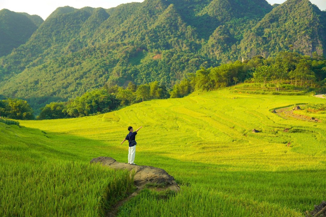 Top 9 Must-Visit Rice Harvest Destinations in Northern Vietnam 2025 34 Pù Luông is one of the most attractive rice harvest destinations for international travelers.