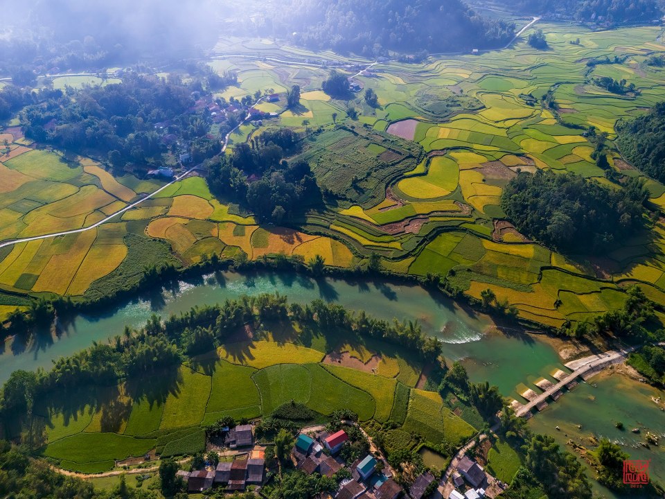 Top 9 Must-Visit Rice Harvest Destinations in Northern Vietnam 2025 31 Trùng Khánh (Cao Bằng)
