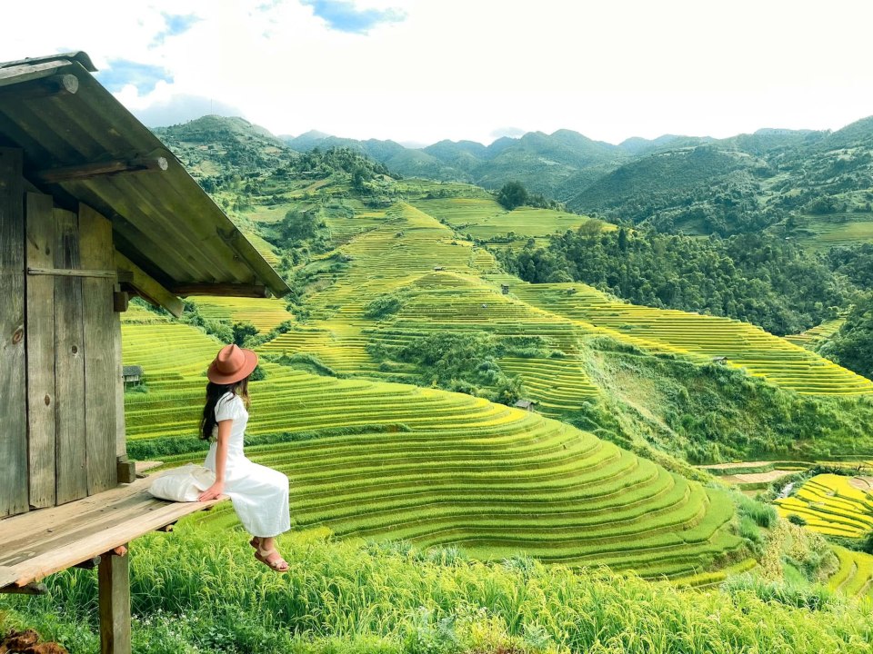 Top 9 Must-Visit Rice Harvest Destinations in Northern Vietnam 2025 29 Tú Lệ is a small valley located between three high mountains, famous for its delicious sticky rice fields