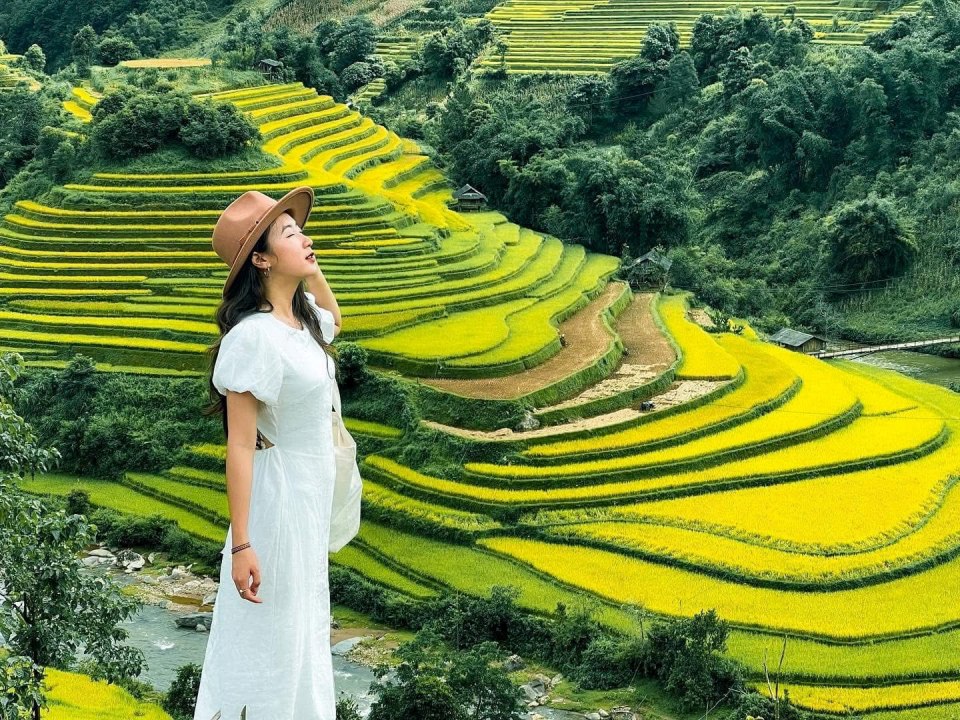 Top 9 Must-Visit Rice Harvest Destinations in Northern Vietnam 2025 28 Tú Lệ is a small valley located between three high mountains, famous for its delicious sticky rice fields