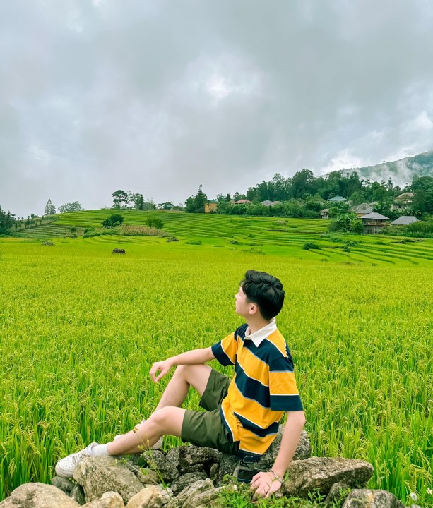 Top 9 Must-Visit Rice Harvest Destinations in Northern Vietnam 2025 39 Y Tý is one of the most beloved rice harvest destinations for both domestic and international travelers.