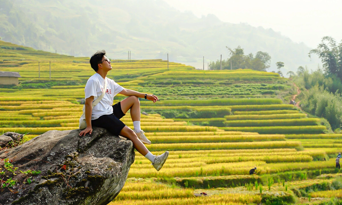 Top 9 Must-Visit Rice Harvest Destinations in Northern Vietnam 2025 30 Hoàng Su Phì is renowned for having some of the most beautiful terraced rice fields in Vietnam