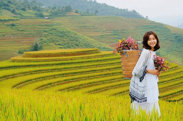 Top 9 Must-Visit Rice Harvest Destinations in Northern Vietnam 2025 36 Sapa - Lao Cai