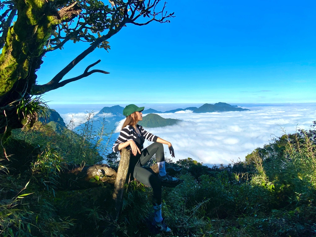 Top 7 BEST Cloud Hunting Places in Northern Vietnam 17 Nhìu Cồ San is a magnet for trekkers drawn to its pristine beauty and diverse flora